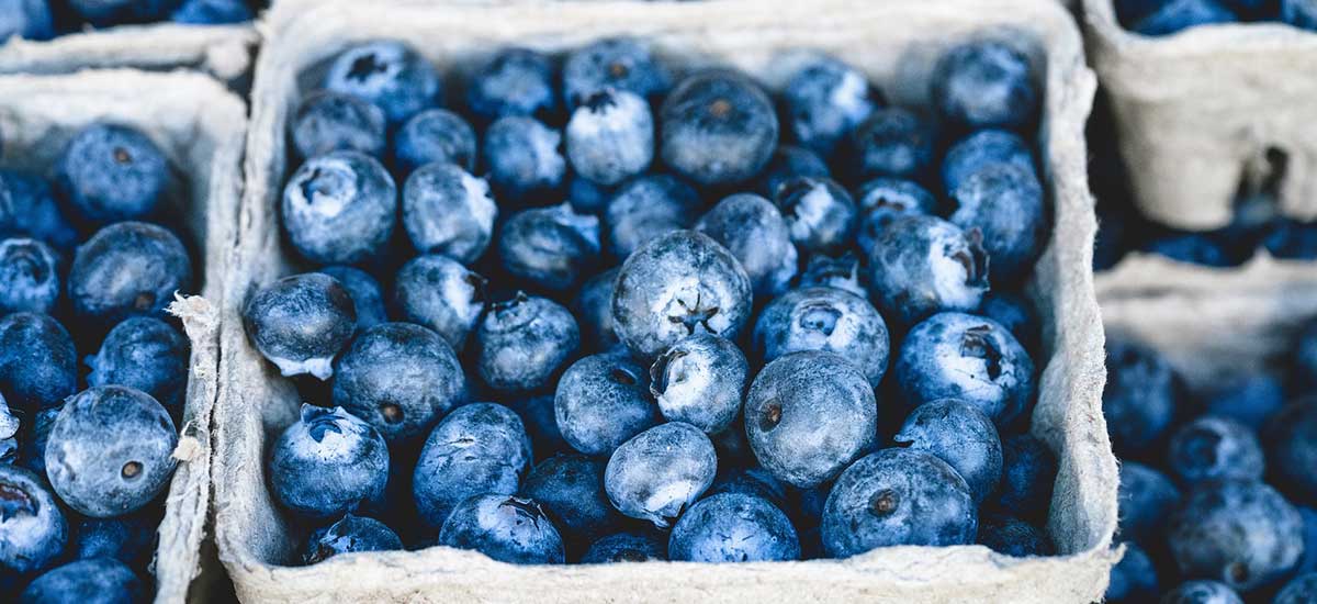 Dawn'sGlutenFreeRecipes